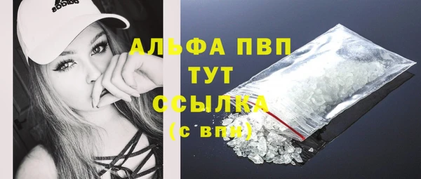 альфа пвп Бородино