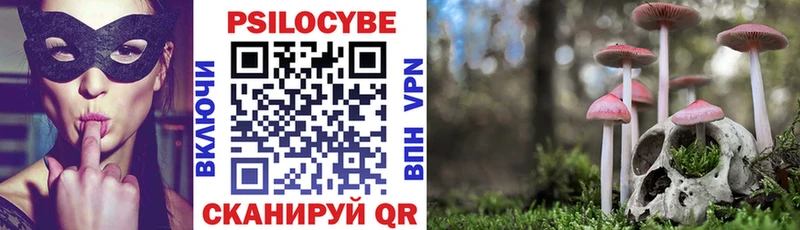 Псилоцибиновые грибы Magic Shrooms  Купить  Полесск 