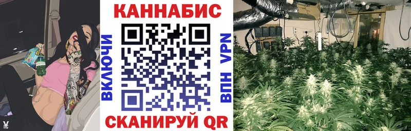 Бошки марихуана Ganja  Купить где  Полесск 